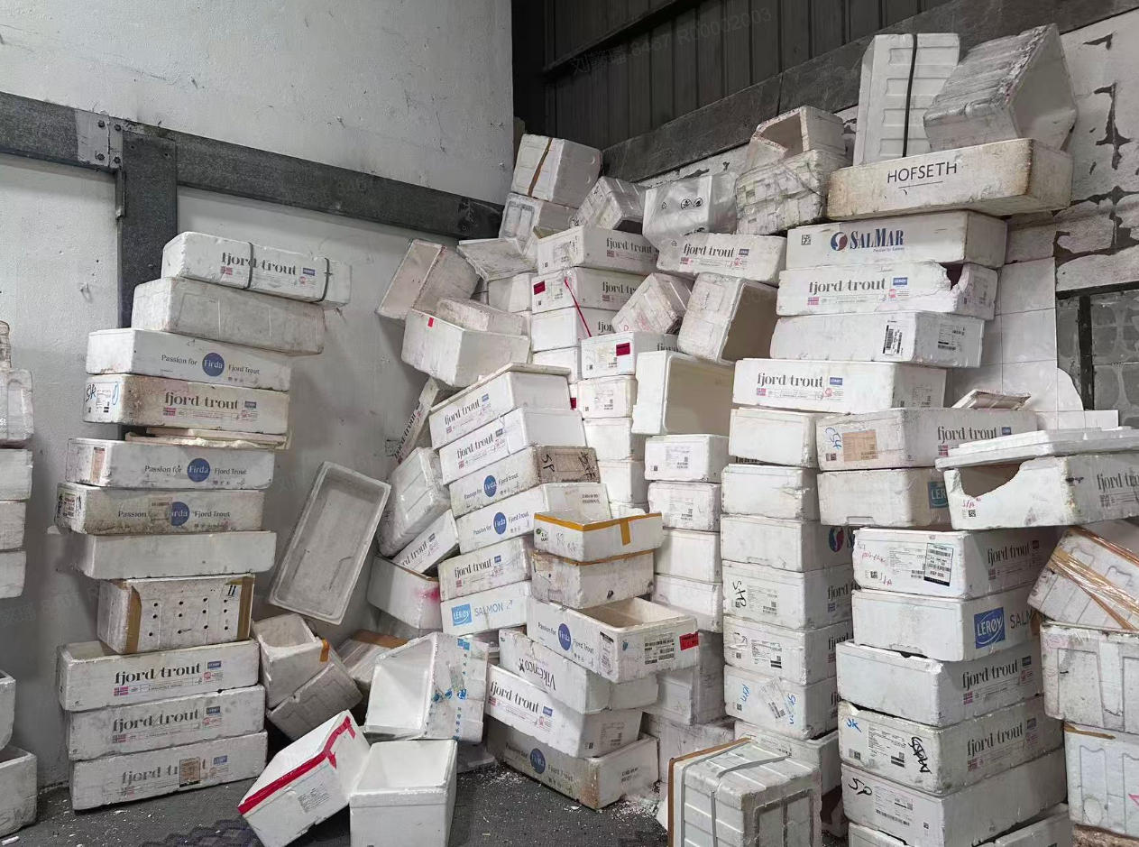 maszyna-do-recyklingu-EPS